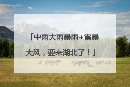 中雨大雨暴雨+雷暴大风，要来湖北了！